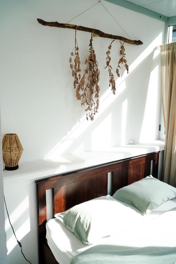 Tamaran House Hostel ลาสปัลมาส เด กรานคานาเรีย ภายนอก รูปภาพ